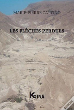 Capa do artigo Les Flèches Perdues