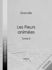 Capa do artigo Les Fleurs Animées