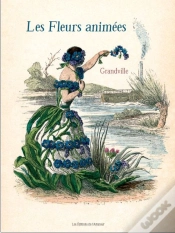 Capa do artigo Les Fleurs Animées