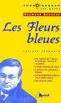 Les Fleurs Bleues Queneau Terminale L, Es - Preview