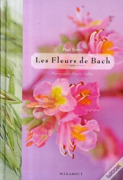 Capa do artigo Les Fleurs De Bach Illustré