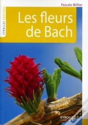 Capa do artigo Les Fleurs De Bach