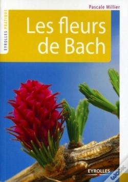 Capa do artigo Les Fleurs De Bach