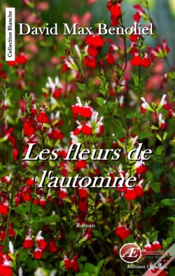 Capa do artigo Les Fleurs De L'Automne