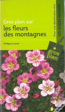 Capa do artigo Les Fleurs De Montagnes