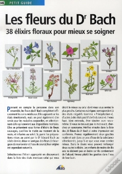 Capa do artigo Les Fleurs Du Dr Bach ; 38 Élixirs Floraux Pour Mieux Se Soigner