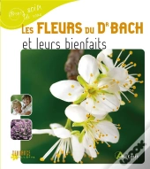 Les Fleurs Du Dr Bach Et Leurs Bienfaits