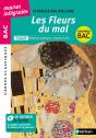 Les Fleurs Du Mal - Charles Beaudelaire - Preview