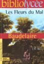 Les Fleurs Du Mal - Preview
