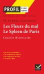 Les Fleurs Du Mal ; Le Spleen De Paris ; 20 Poèmes Expliqués De Charles De Baudelaire - Preview