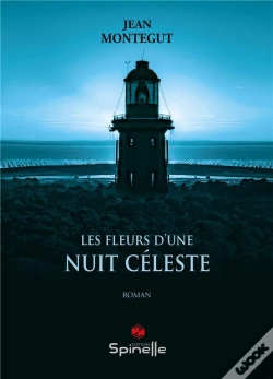 Capa do artigo Les Fleurs D'Une Nuit Céleste