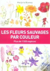 Les Fleurs Sauvages Par Couleur