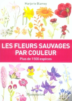 Capa do artigo Les Fleurs Sauvages Par Couleur