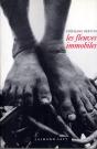 Les Fleuves Immobiles - Preview