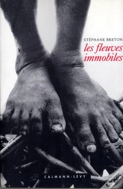 Capa do artigo Les Fleuves Immobiles
