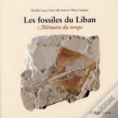 Les Fossiles Du Liban - Memoire Du Temps