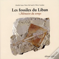 Capa do artigo Les Fossiles Du Liban - Memoire Du Temps