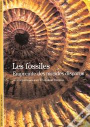 Les Fossiles ; Empreintes Des Mondes Disparus