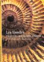 Les Fossiles ; Empreintes Des Mondes Disparus - Preview