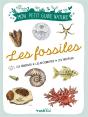 Les Fossiles : Les Observer, Les Reconnaître, Les Protéger - Preview