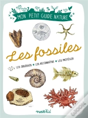 Capa do artigo Les Fossiles : Les Observer, Les Reconnaître, Les Protéger