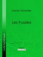 Les Fossiles - Preview