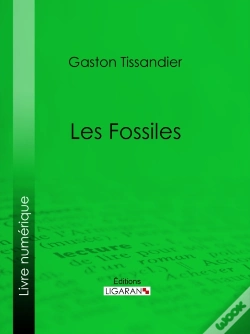 Capa do artigo Les Fossiles