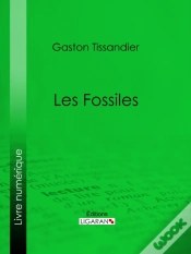 Capa do artigo Les Fossiles