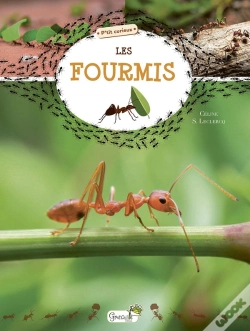Capa do artigo Les Fourmis