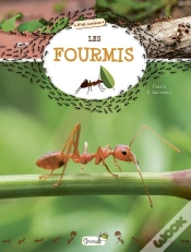 Capa do artigo Les Fourmis