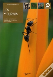 Capa do artigo Les Fourmis ; Espèces ; Comportement ; Reproduction ; Alimentation ; Soins Quotidiens
