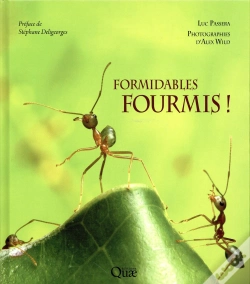 Capa do artigo Les Fourmis