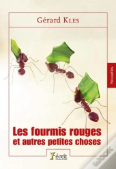 Les Fourmis Rouges Et Autres Petites Choses.