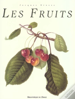 Capa do artigo Les Fruits