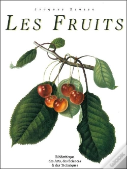 Capa do artigo Les Fruits