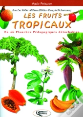 Les Fruits Tropicaux