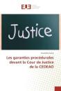 Les Garanties Procedurales Devant La Cour De Justice De La Cedeao - Preview