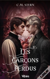 Capa do artigo Les Garçons Perdus Tome 2