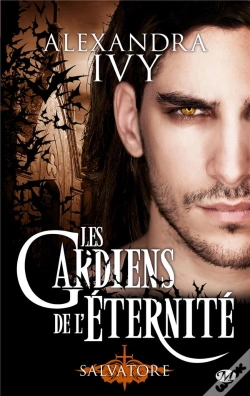 Capa do artigo Les Gardiens De L'Eternite, T.6 : Salvatore