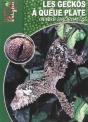 Les Geckos À Queue Plate - Le Genre Uroplatus - Preview
