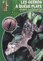 Les Geckos À Queue Plate - Le Genre Uroplatus