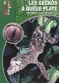 Capa do artigo Les Geckos À Queue Plate - Le Genre Uroplatus