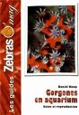 Les Gorgones - Preview