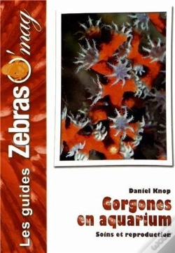 Capa do artigo Les Gorgones