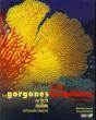 Les Gorgones Des Recifs Coralliens De Nouvelle Caledonie - Preview