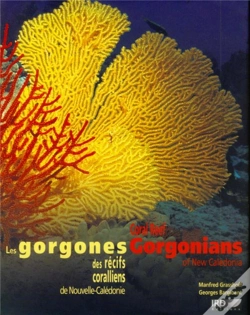 Capa do artigo Les Gorgones Des Recifs Coralliens De Nouvelle Caledonie