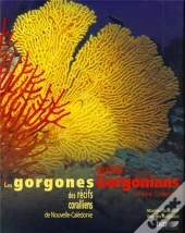 Les Gorgones Des Recifs Coralliens De Nouvelle Caledonie