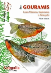 Les Gouramis