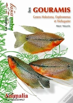 Capa do artigo Les Gouramis