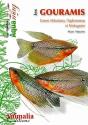 Les Gouramis - Preview
